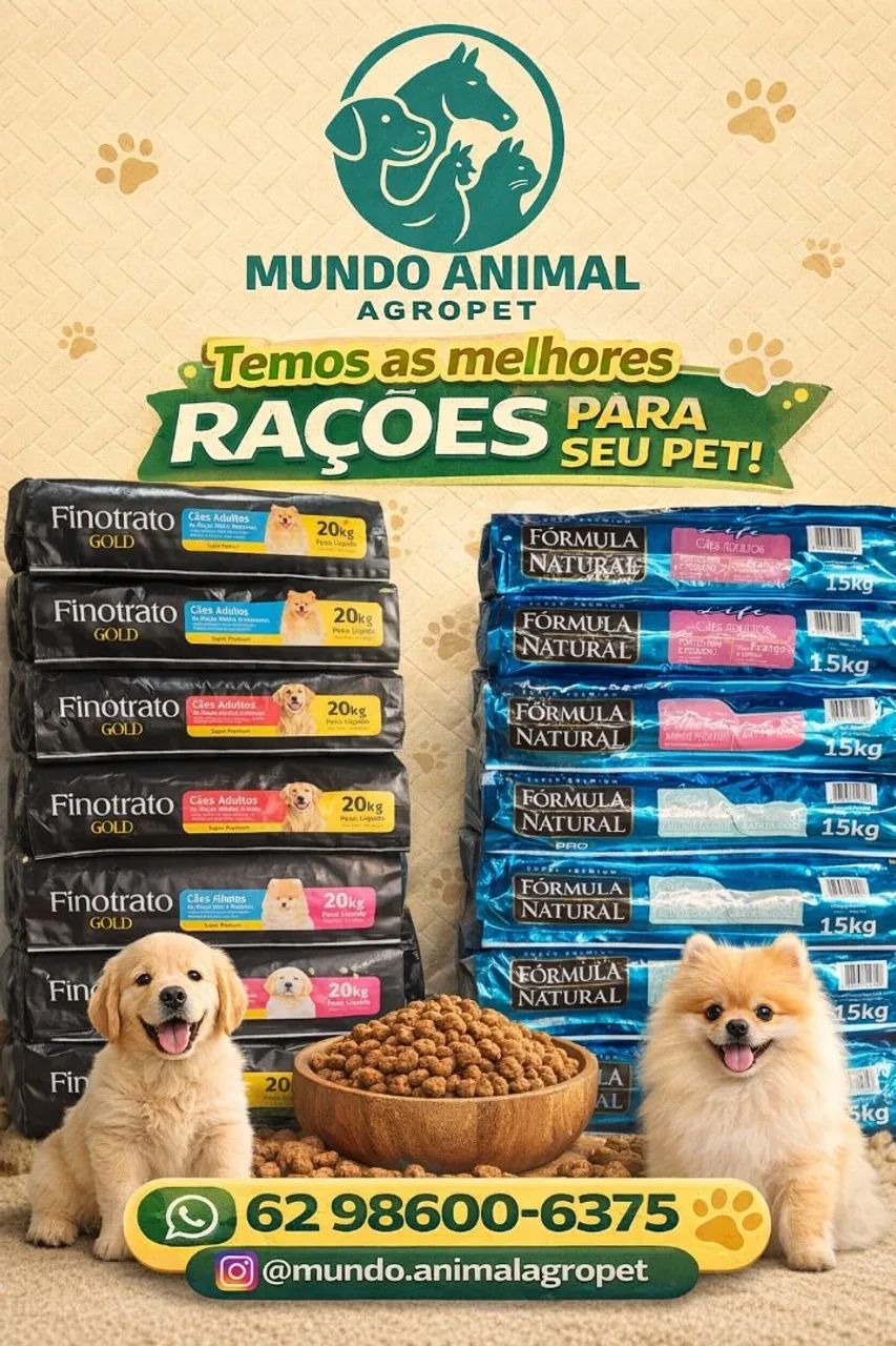 Passo ponto de casa agropecuária completa  - Foto 3