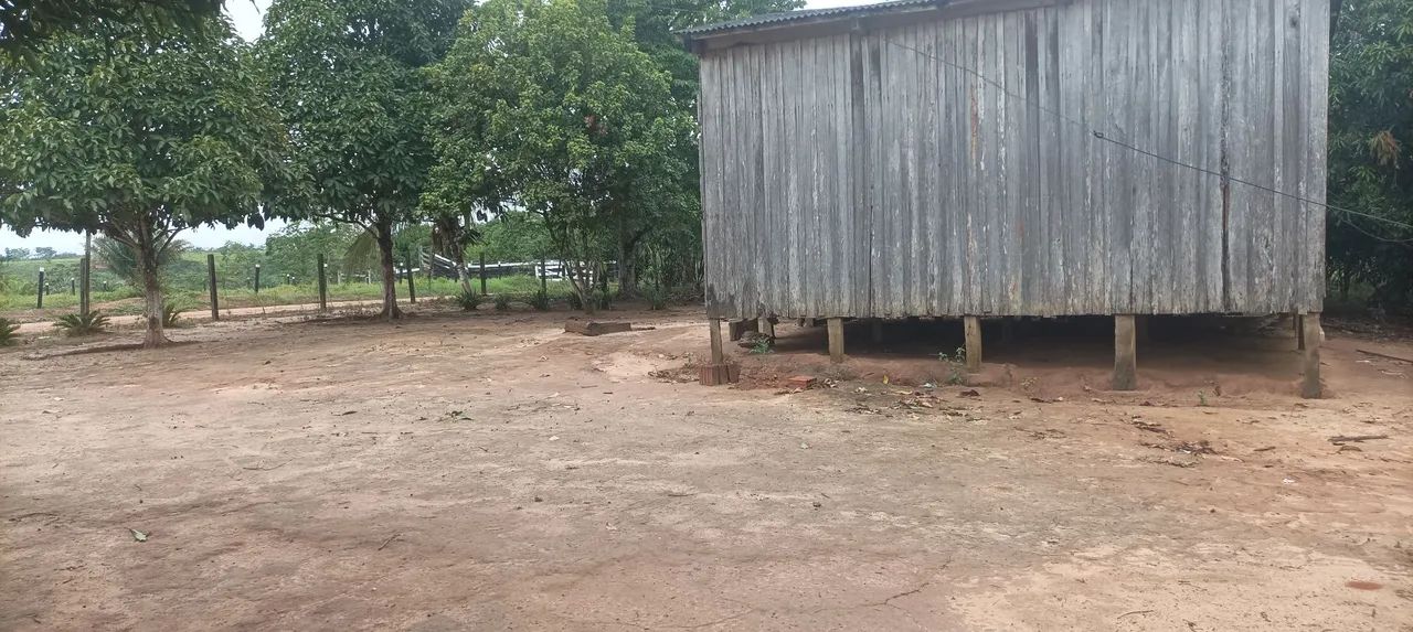 Colônia com 15 hectares