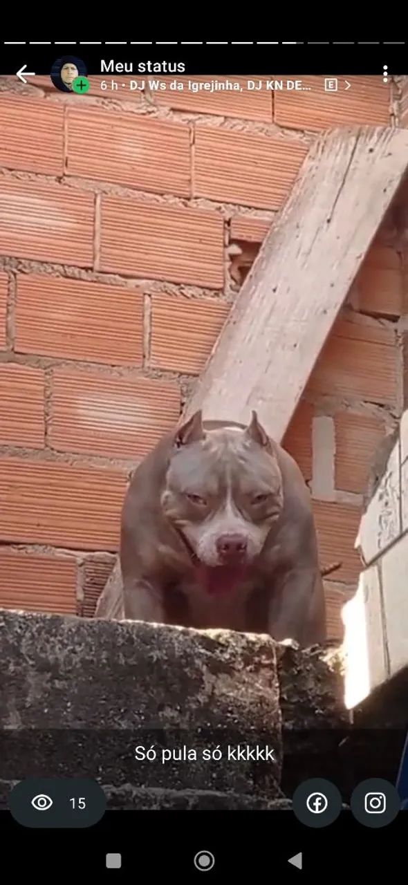 Pit Monster 
