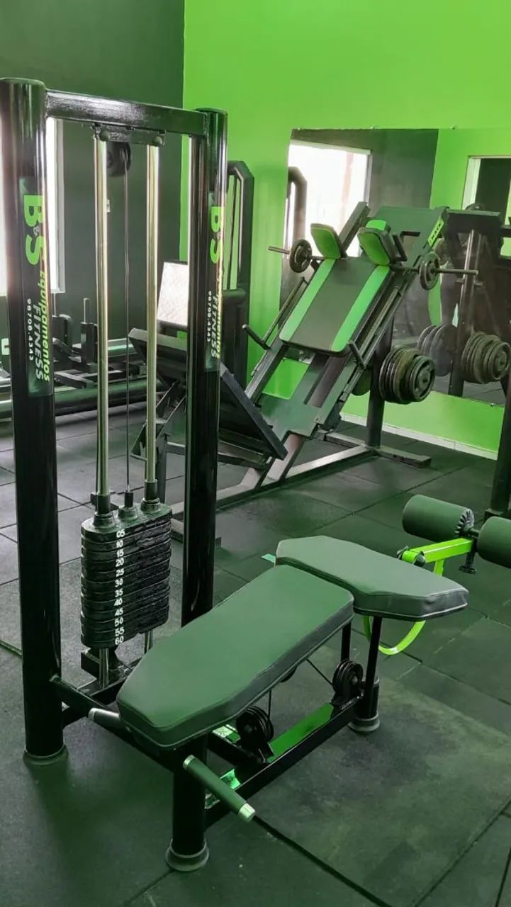 Mesa flexora 