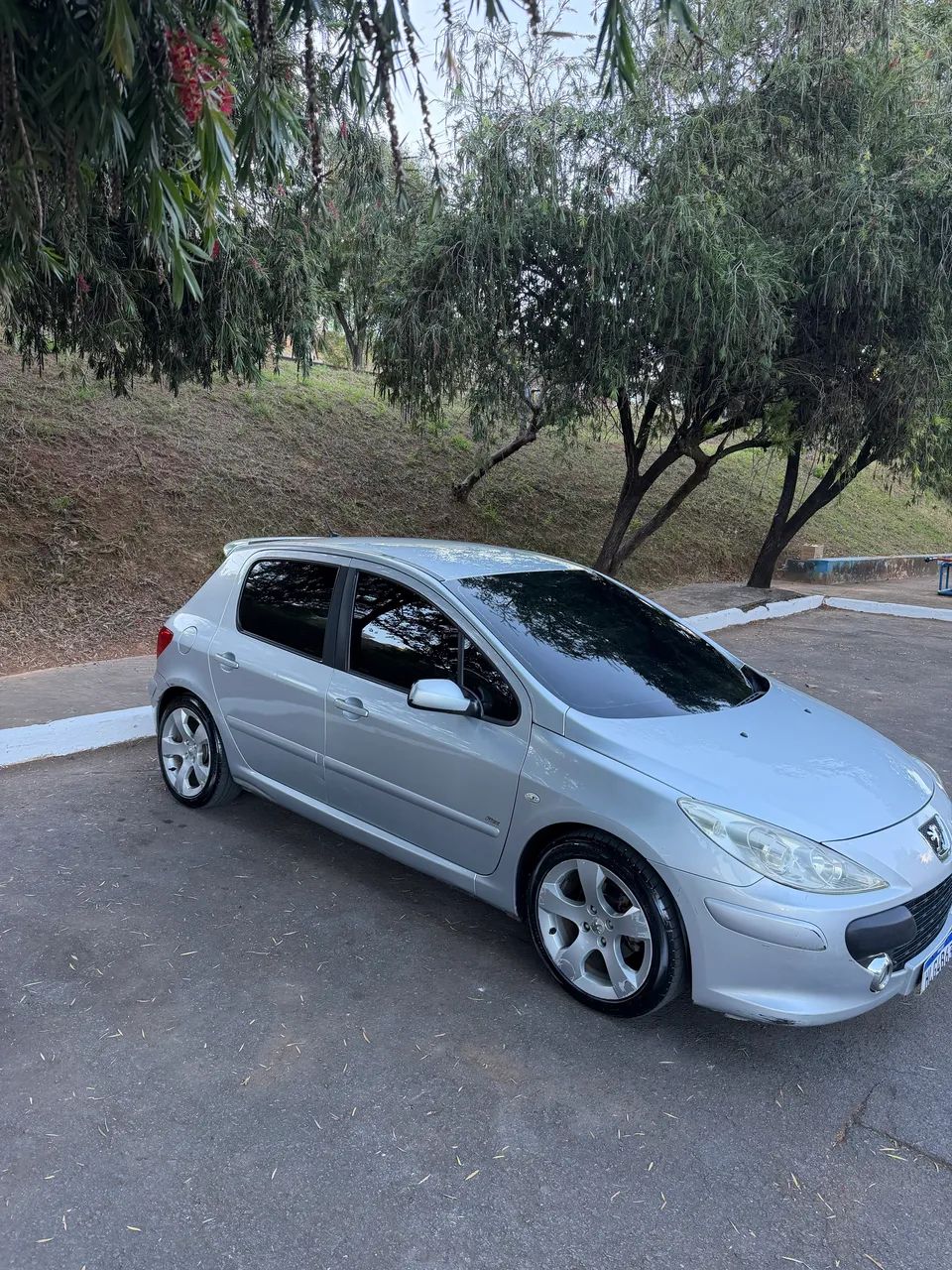 Peugeot 307 307 Soleil/ Presence 1.6/1.6 Flex 16V 5p 2011