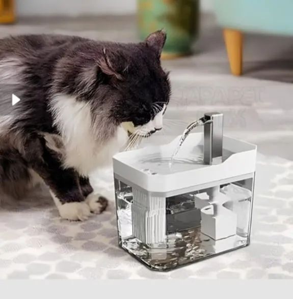 Bebedor com bomba de agua para gatos