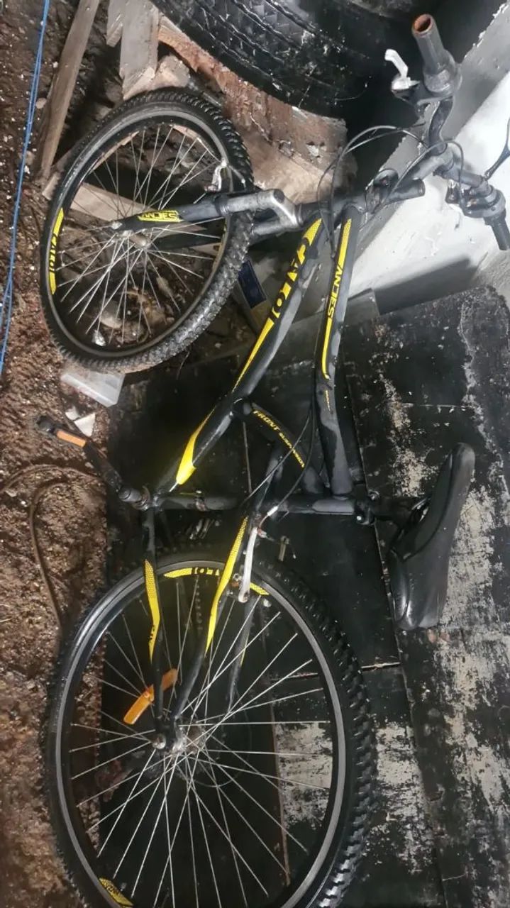Bicicleta 