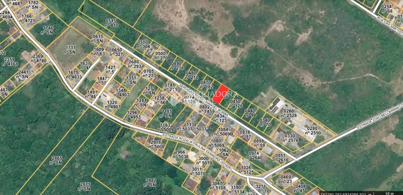 Terreno com 388,99 m² no Pântano do Sul - Foto 4