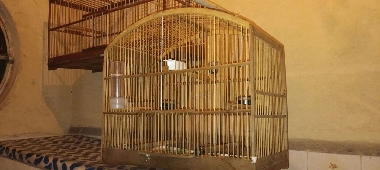 Gaiola de trinca amansadeira praticamente nova 