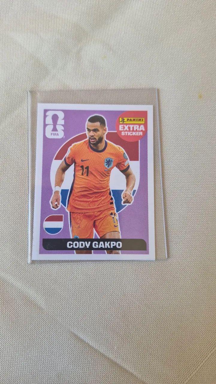 Cody gakpo regular 
