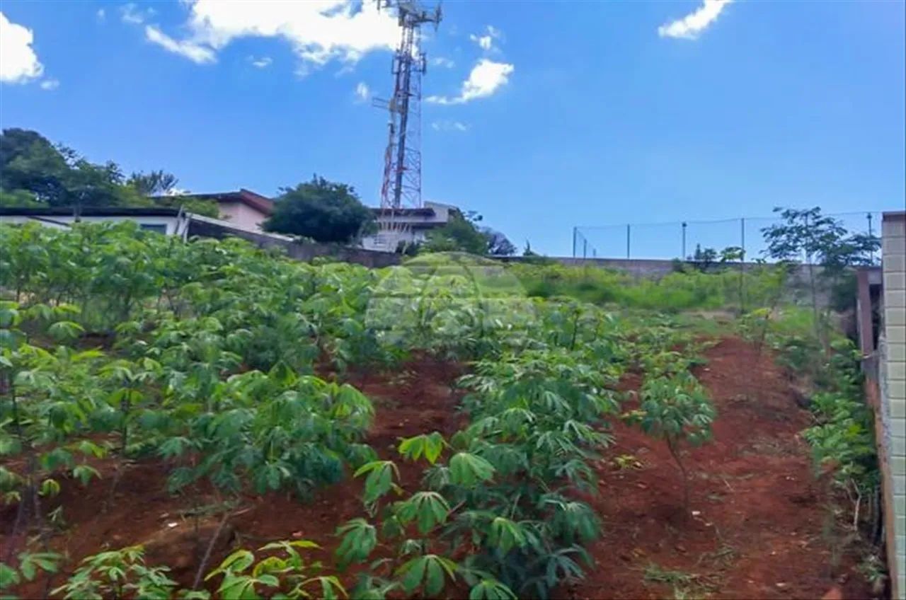 Vendas Terreno Pato Branco PR - Foto 2