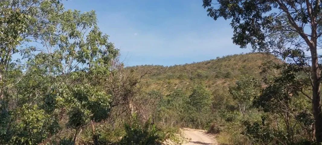 Venda de Terra - Foto 4