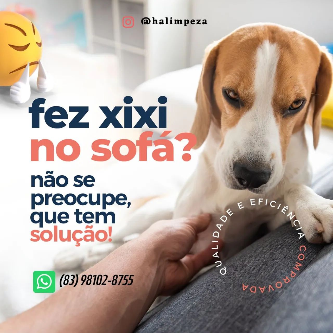 Higienização  - Foto 2