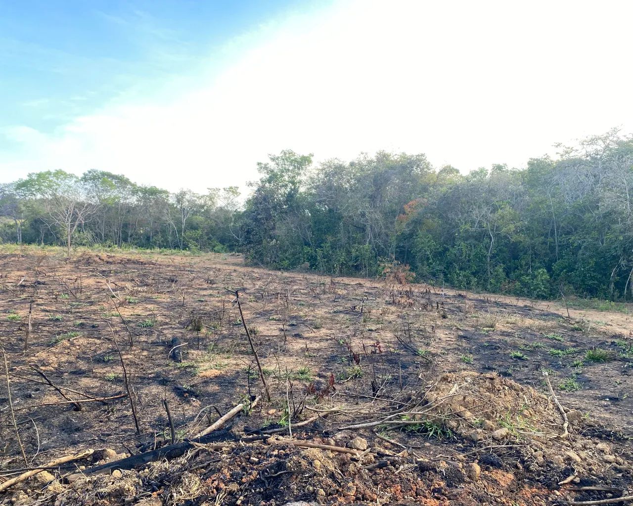 Chácaras no Rio Pará  - Foto 2