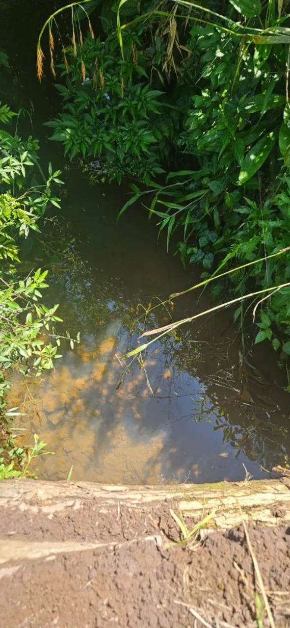 Terreno para sítio ou loteamento  - Foto 10