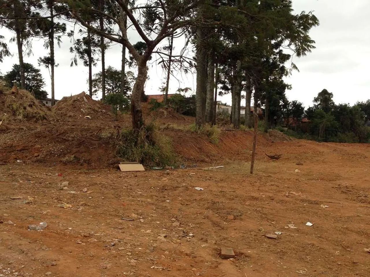Terreno à venda no Jardim Sandra - Cotia - Foto 4