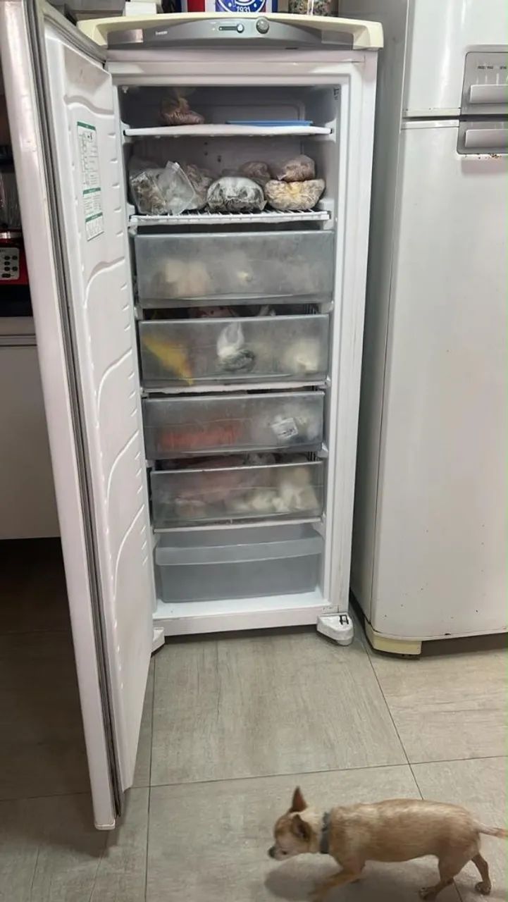 Freezer e Geladeira  - Foto 2