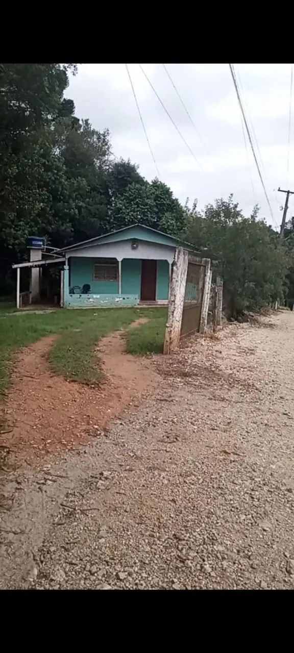 Foto - Araucária - Tietê