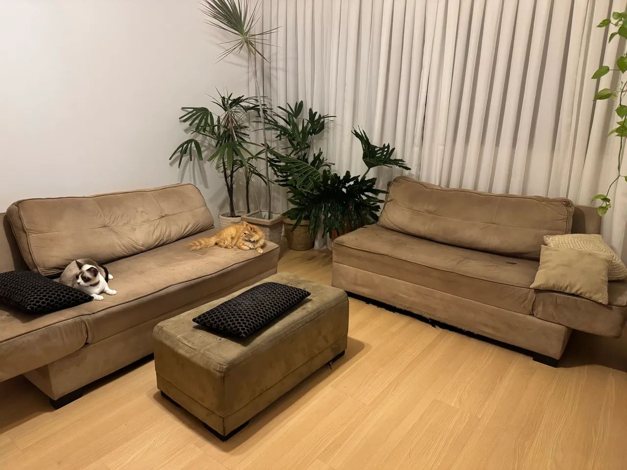 Selling sofa set65704309637761120