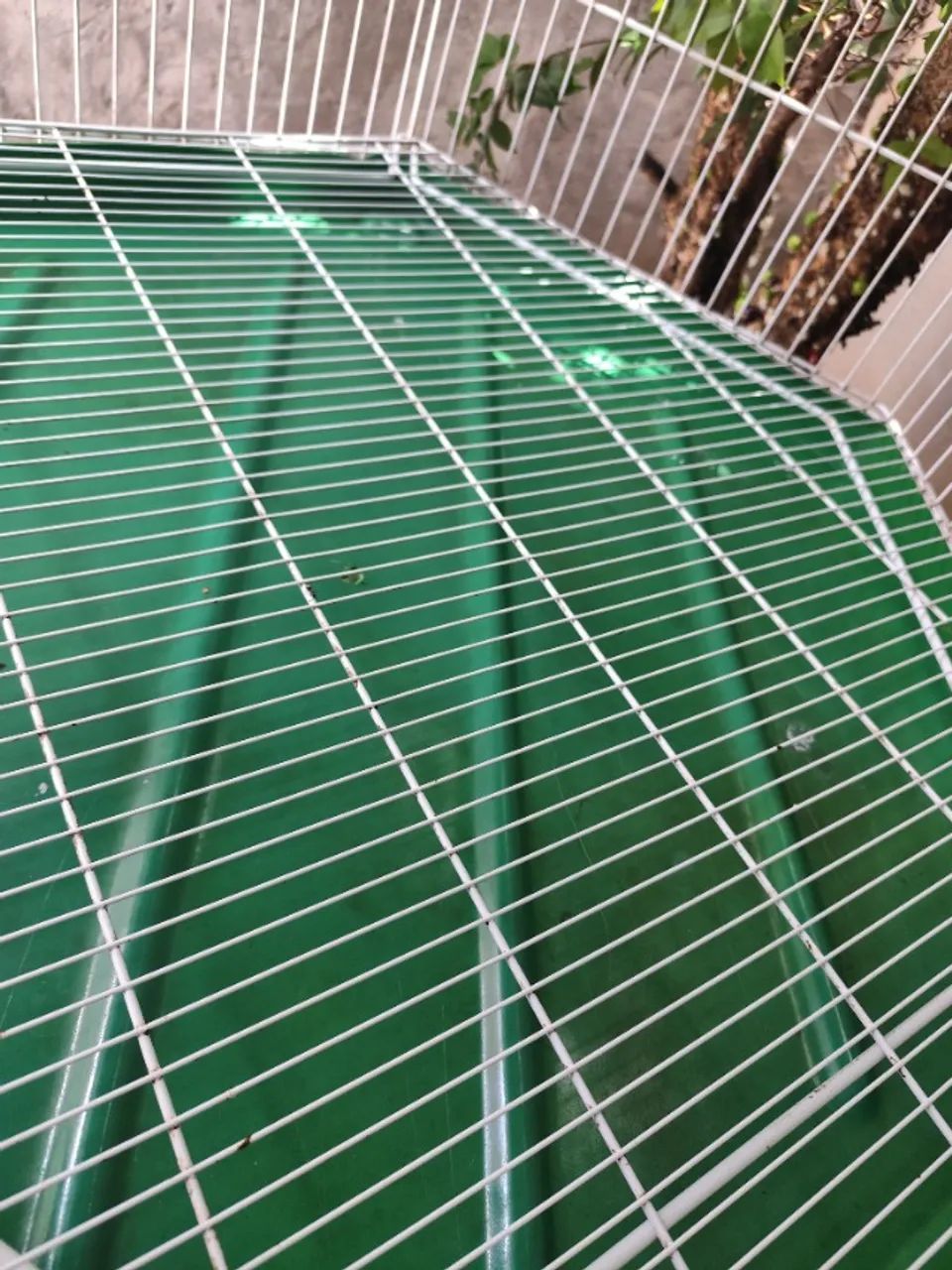 Viveiro gigante  - Foto 4