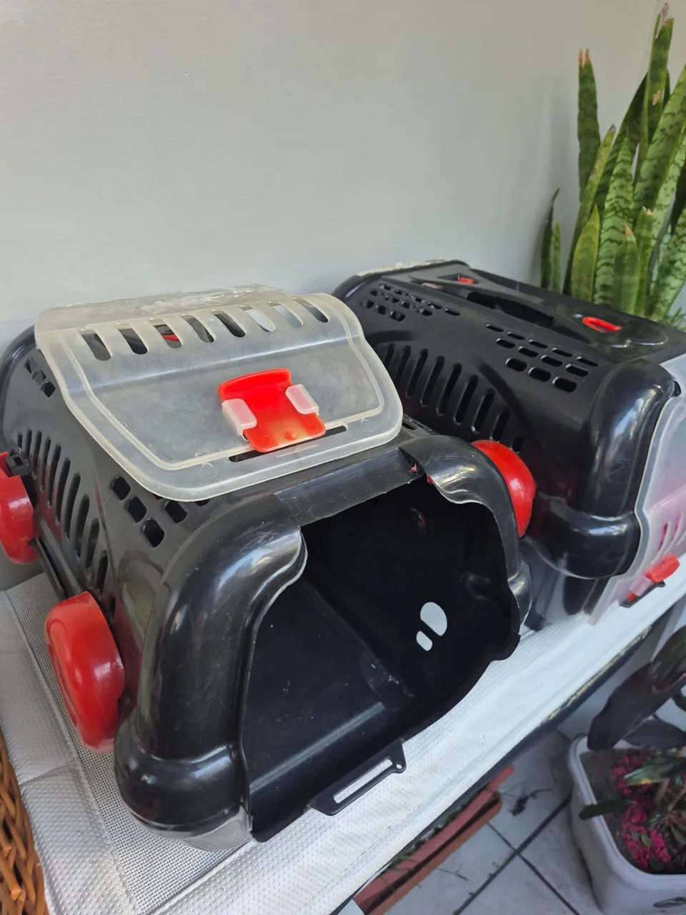 Caixa de transporte para gatos424794490227271681