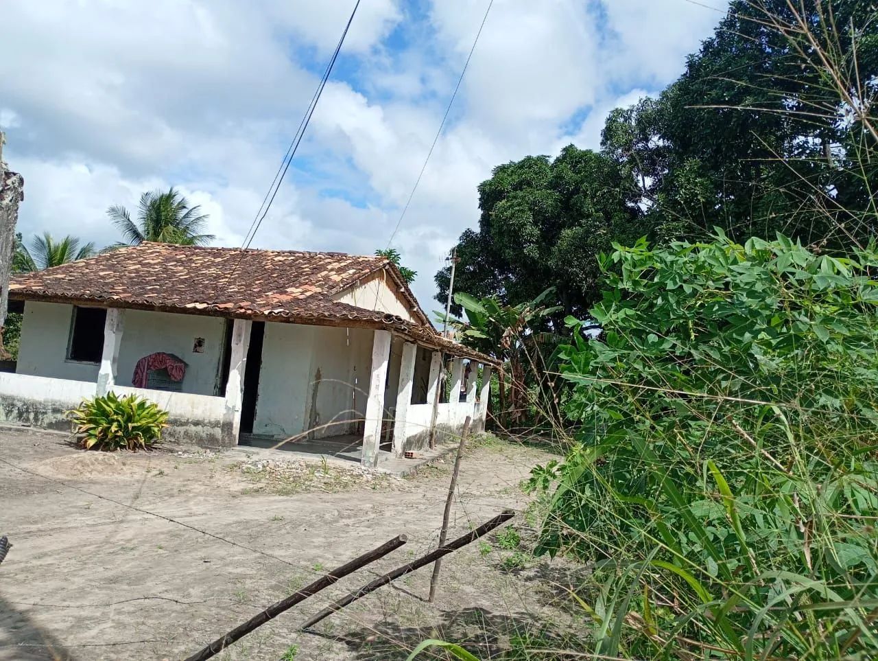 Vendo sítio em Areia branca povoado colônia são Paulo  - Foto 2
