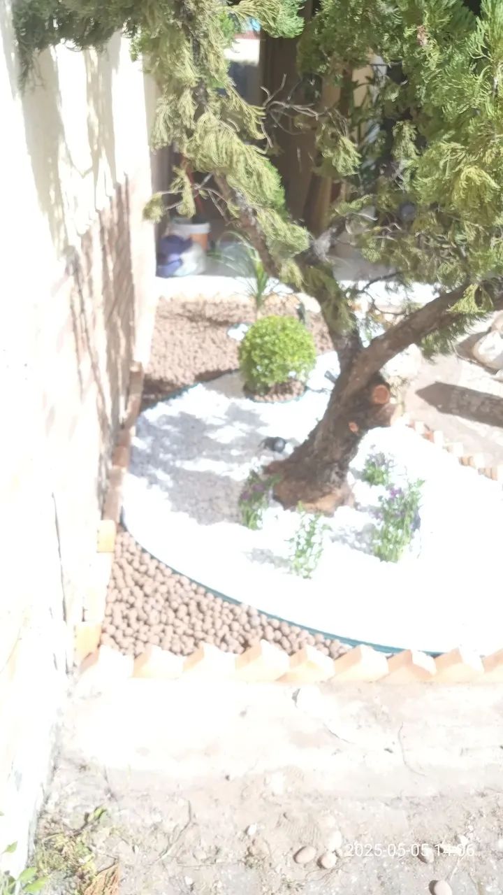 Serviço de decoração e jardinagem em geral em Fortaleza ce  - Foto 3