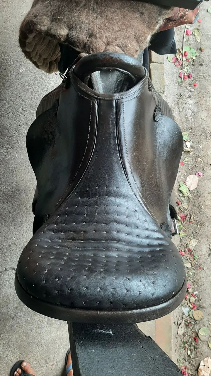 Sela mangalarga  - Foto 2