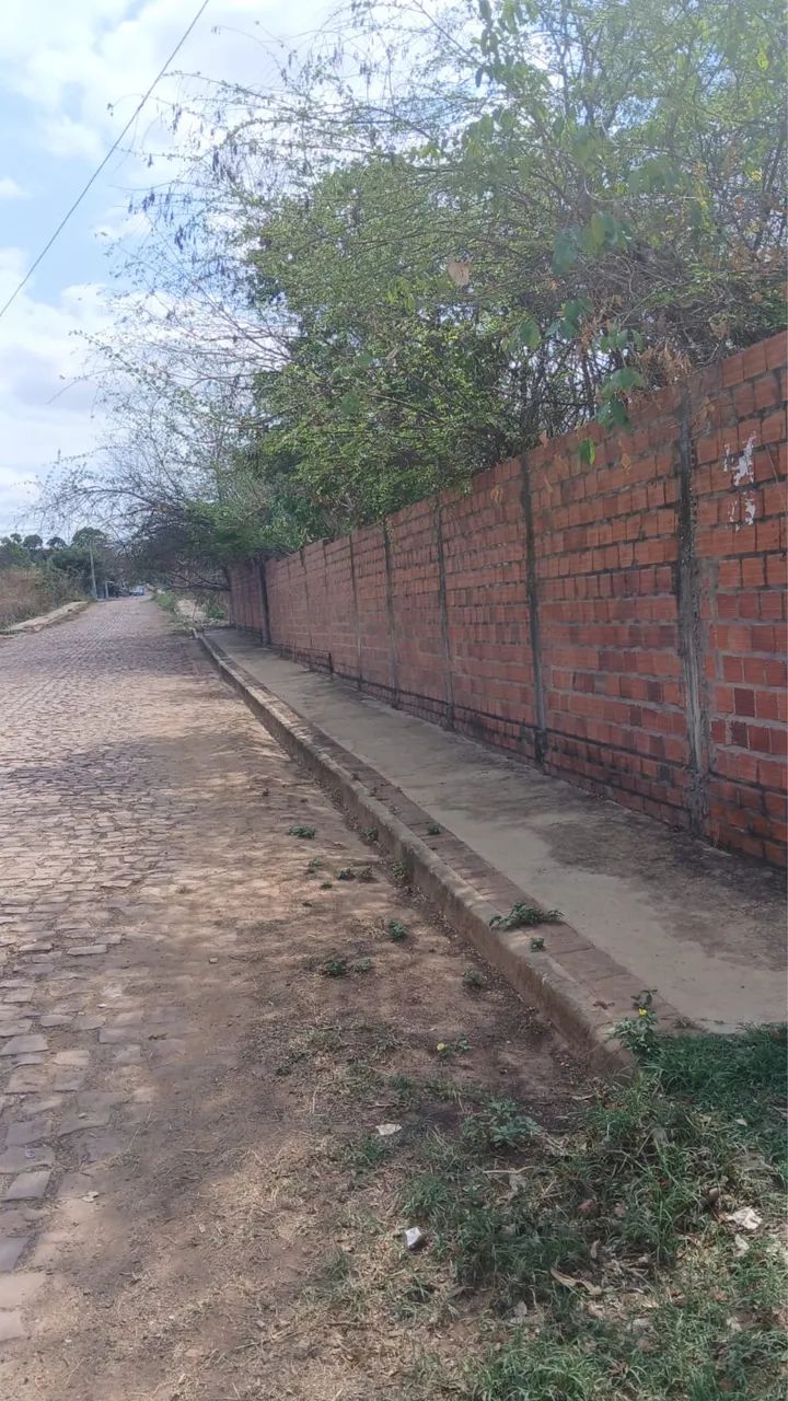 Lotes de terreno - Foto 2