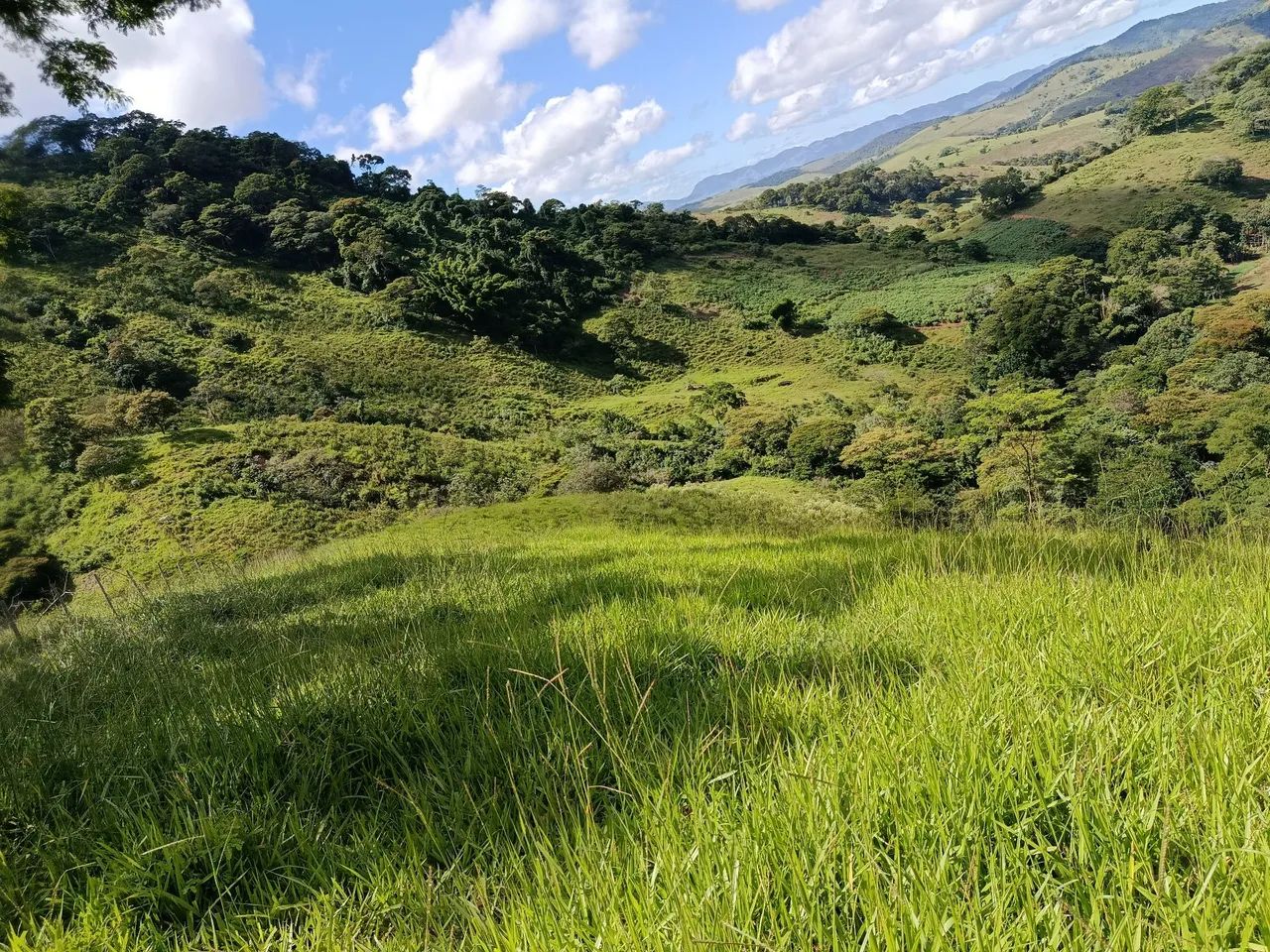 Sitio tabuleiro  - Foto 4