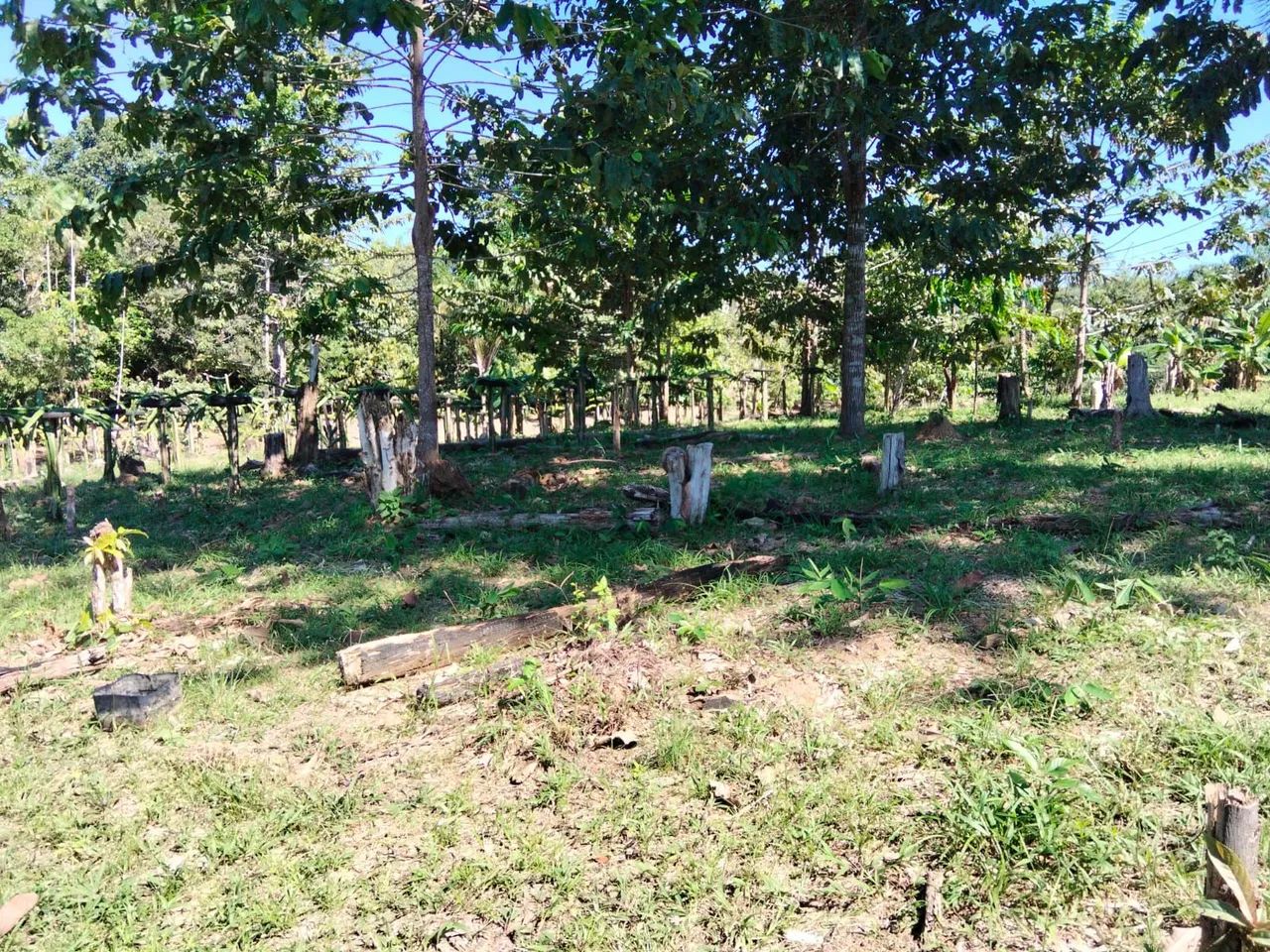 ? GRANDE OPORTUNIDADE! SÍTIO À VENDA! ? - Foto 4
