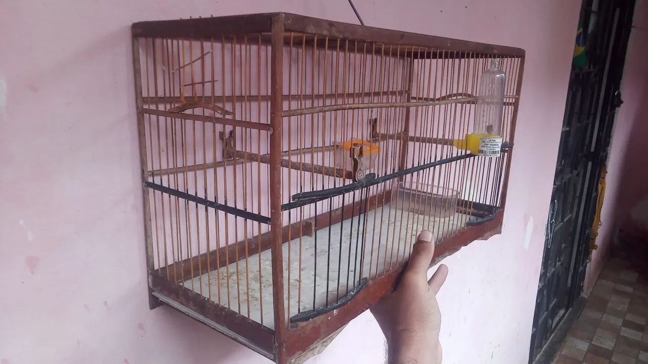 Voador 50cm
