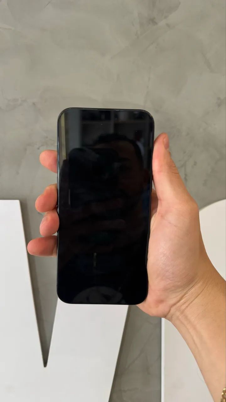IPhone 15 Pro Max 256 Preto Seminovo 