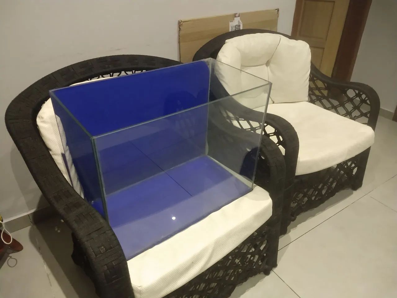 Aquário pequenos  - Foto 4