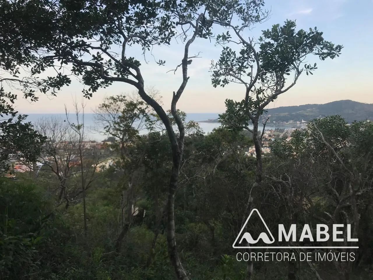 Oportunidade para Investidores - Foto 3
