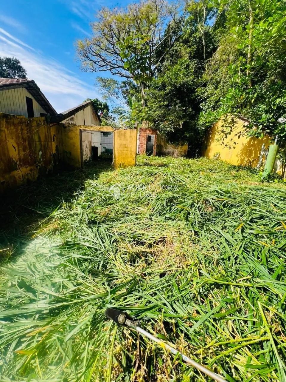 Terreno com natureza preservada. - Foto 3