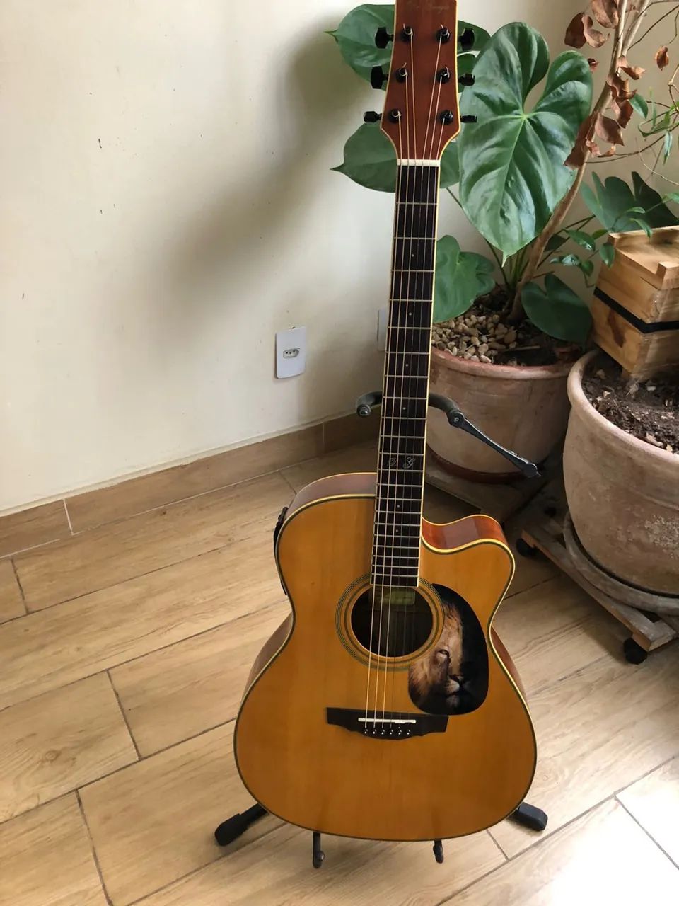 Digiorgio FOLK-101/2011
