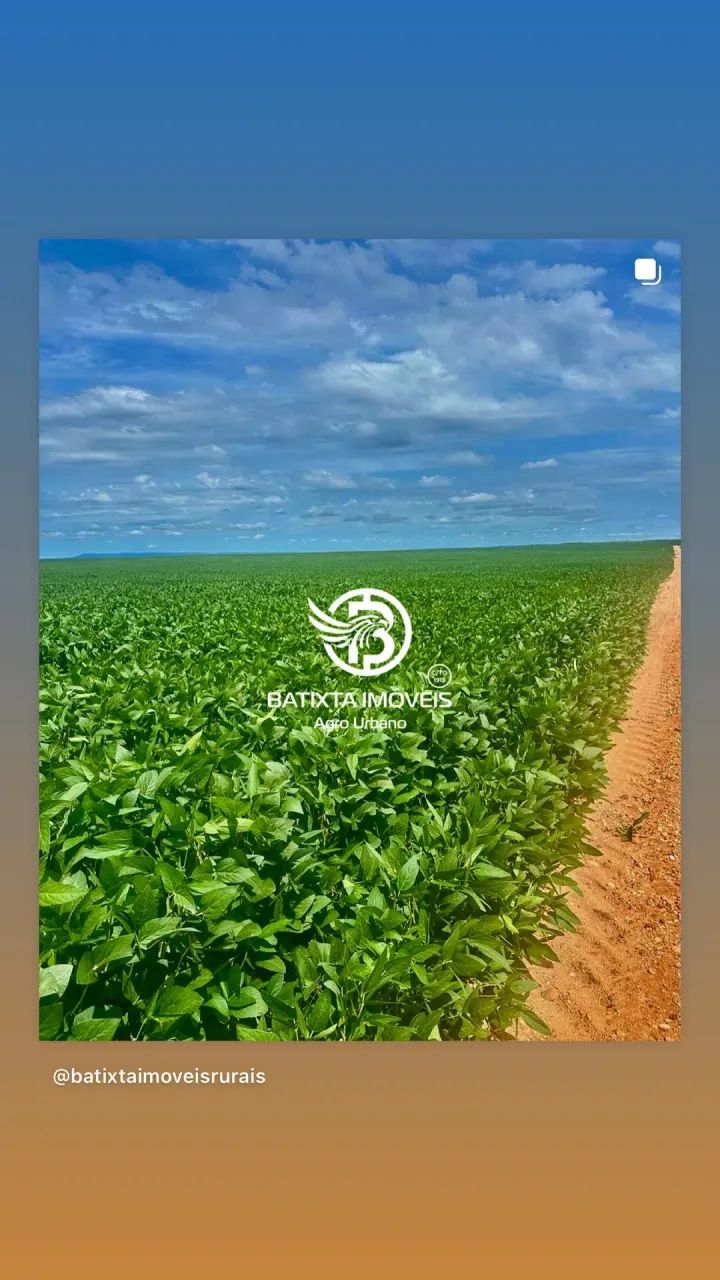 Fazenda de 2850 Alqueires, 45 km de Colinas - Foto 5