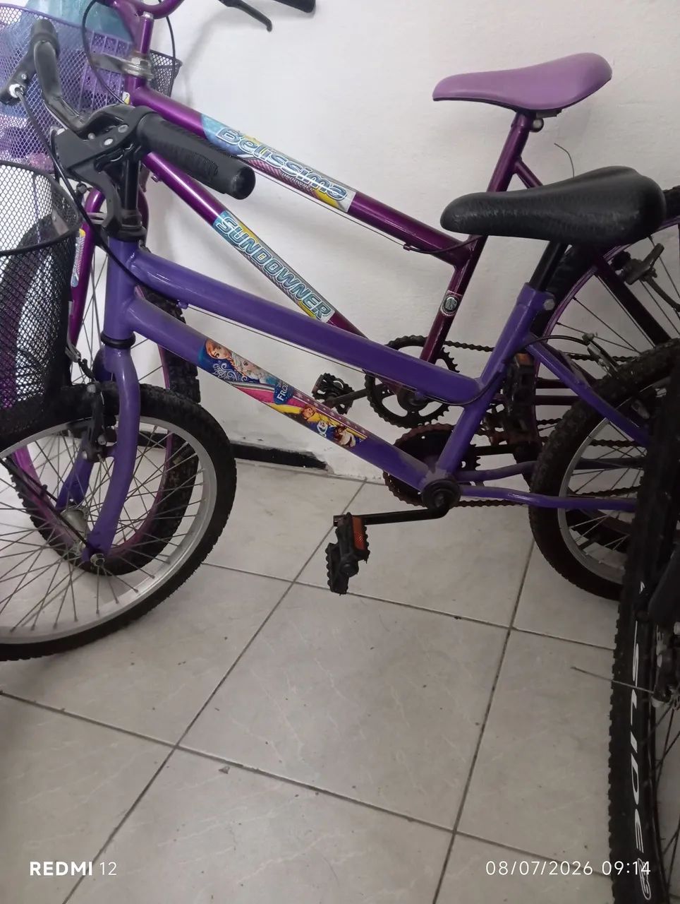 Bocicleta