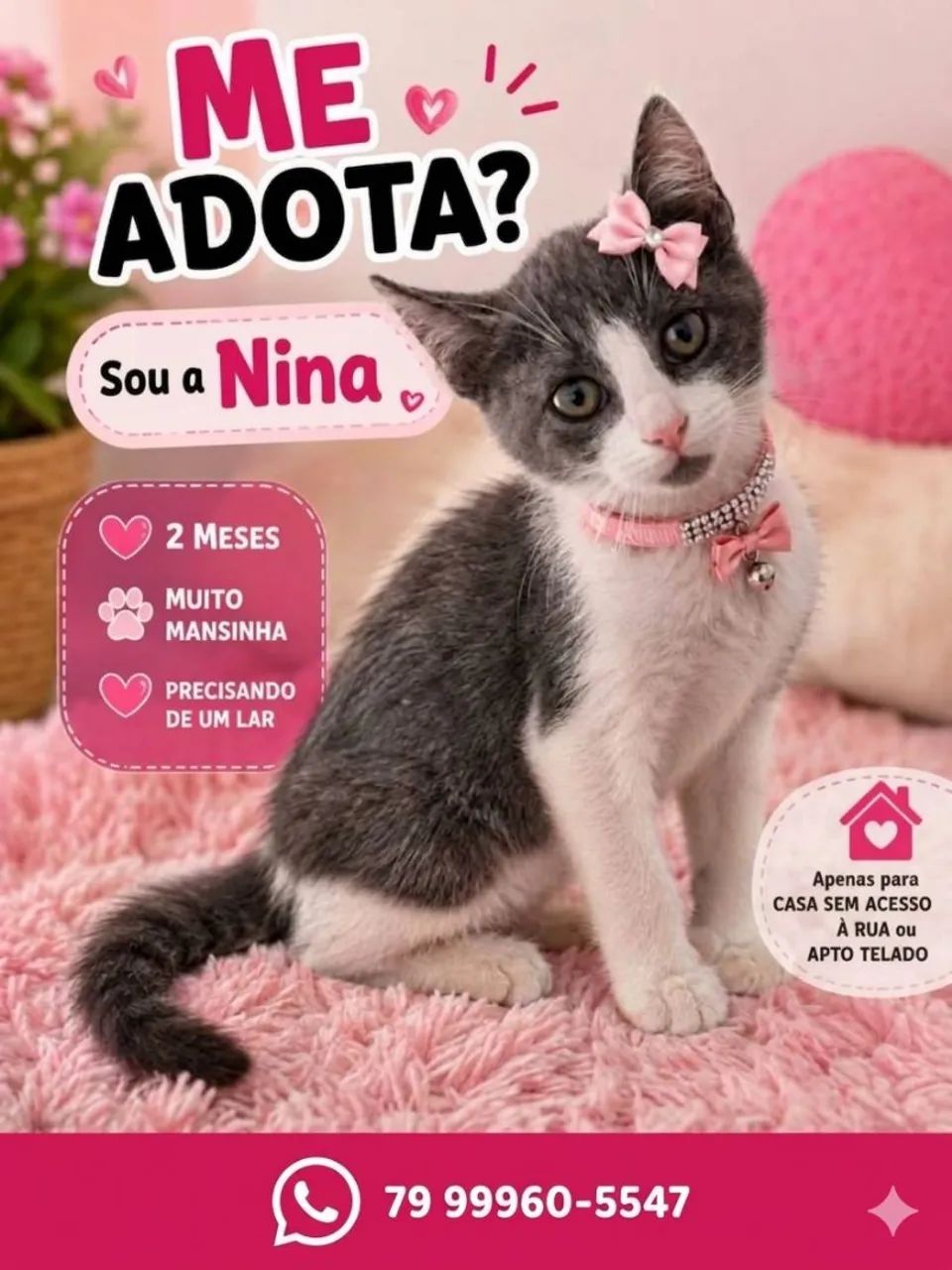 SÓ LINDEZAS - Foto 5