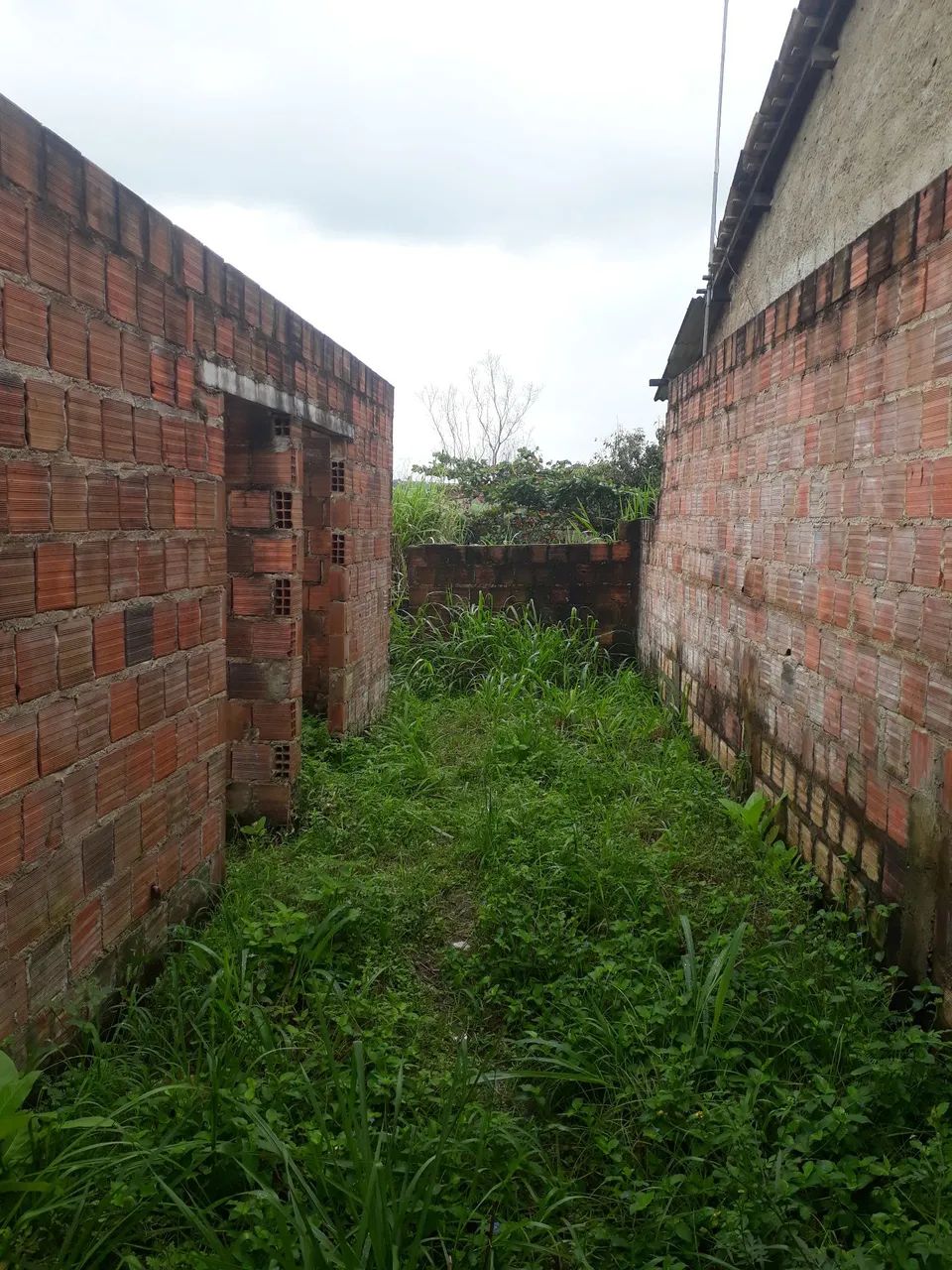 Terreno  - Foto 4