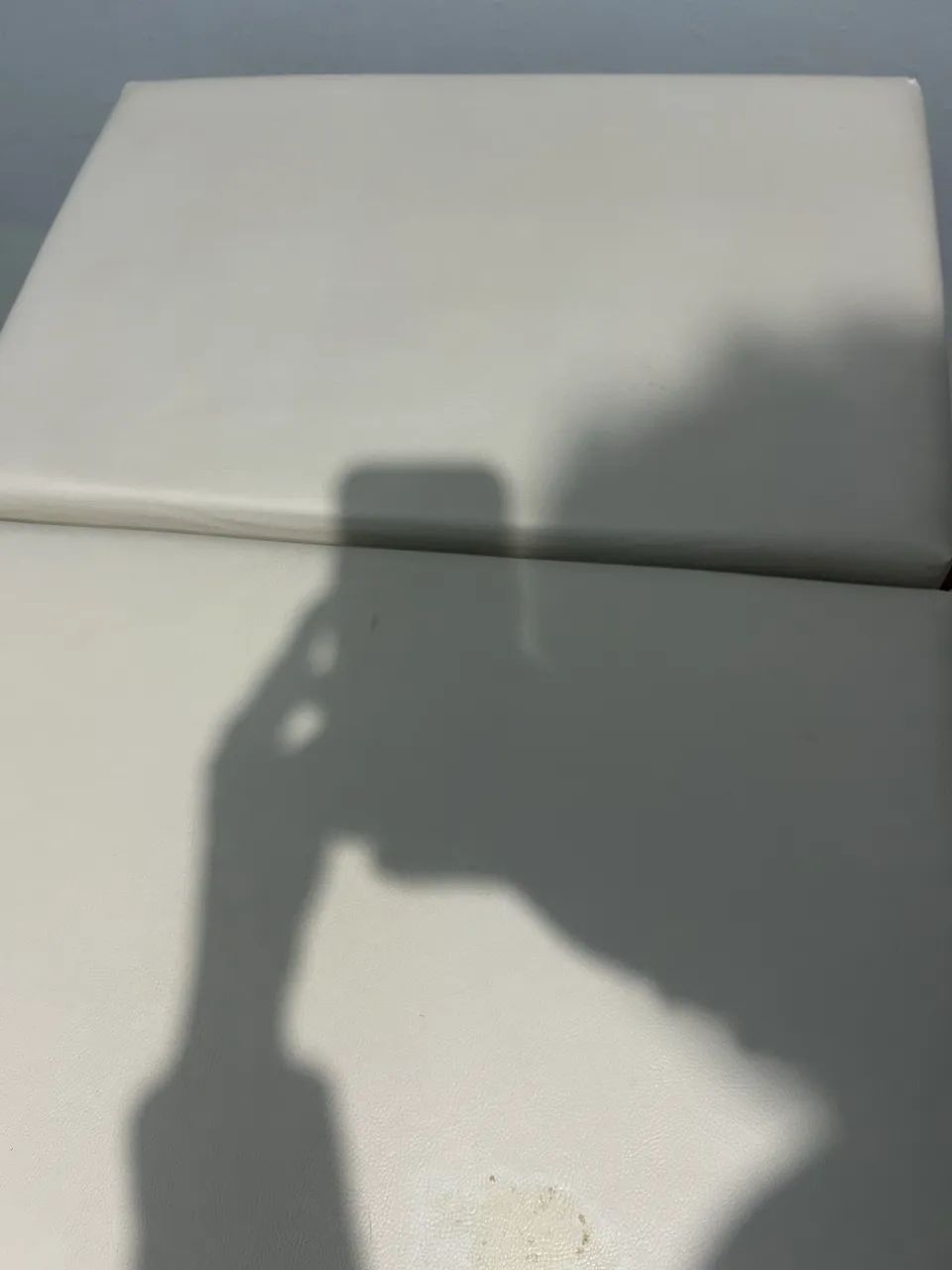 Maçã - Foto 3