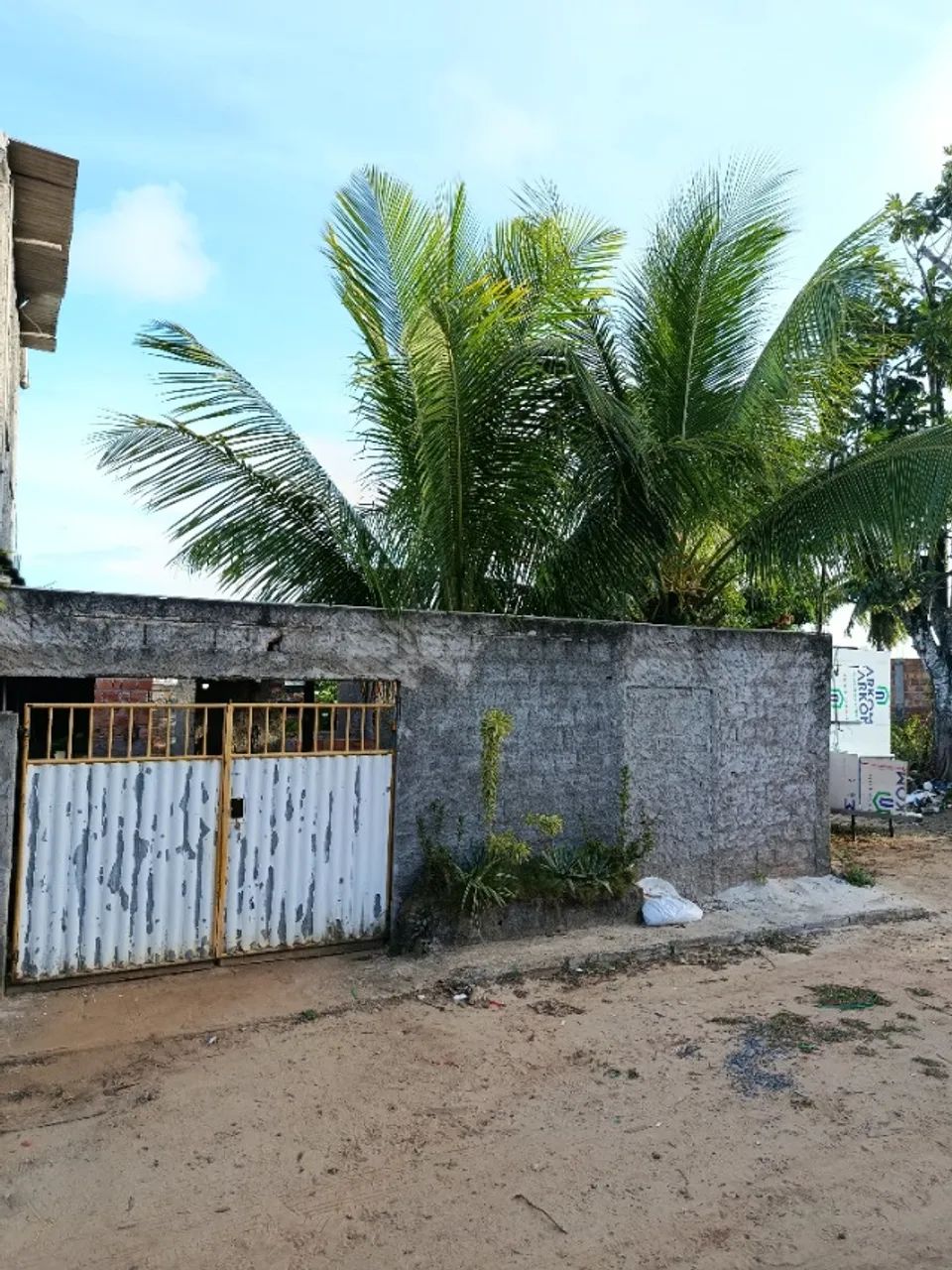 Foto - Salvador - Jardim das Margaridas
