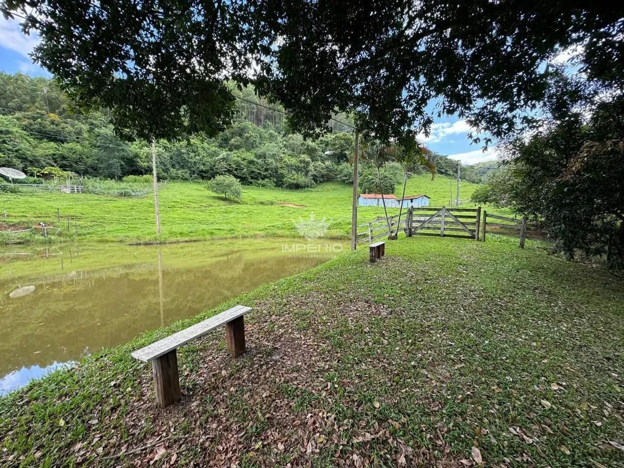 FAZENDA PÉ DA SERRA 94HECTARES EM CLÁUDIO - Foto 4