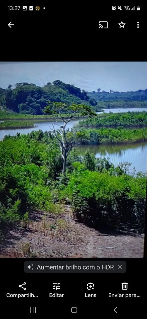Vendo um terra no Amazonas 