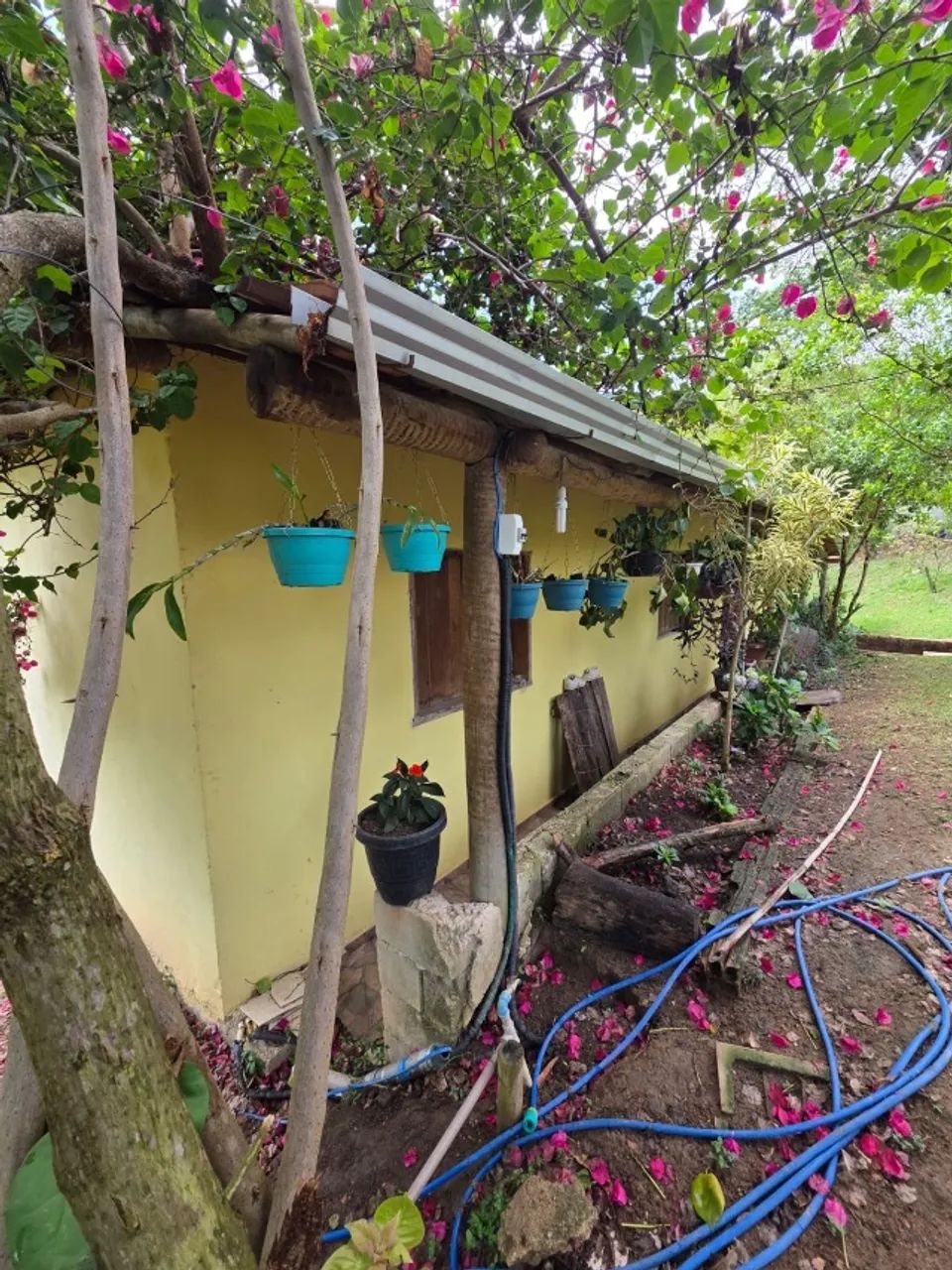 Sítio em Esmeralda  - Foto 3