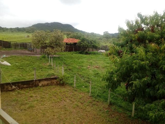 Fazenda 170 Alqueires Municipio Cocalzinho - Foto 11