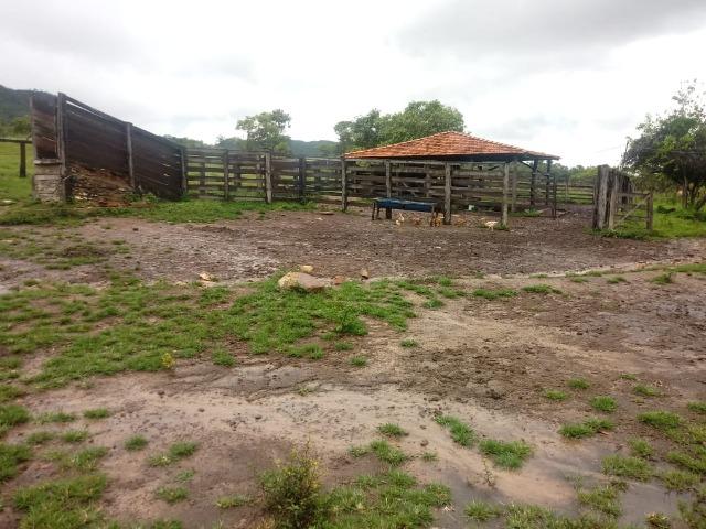 Fazenda 170 Alqueires Municipio Cocalzinho - Foto 7