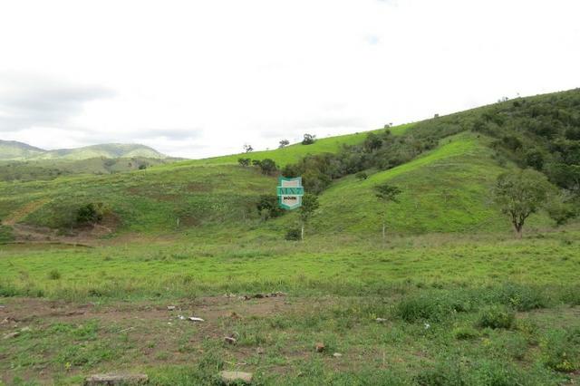 Fazenda Pecuária no Gongogi de 1.100 Hectares. Melhor custo beneficio - Foto 6