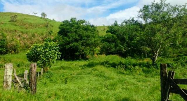 Belíssima Propriedade em Cachoeiras de Macacu medindo 200.000m2 oportunidade!!! - Foto 5