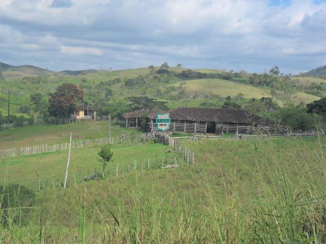 Fazenda Pecuária no Gongogi de 1.100 Hectares. Melhor custo beneficio - Foto 5