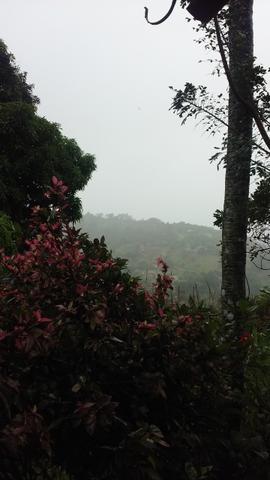 Vendo Sítio em Vitória de Santo Antão - Foto 3