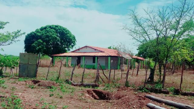 Casa na BR 343 a 10km de Campo Maior