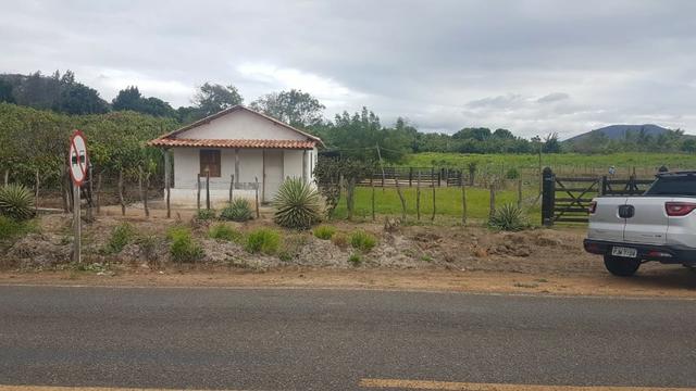 Sítio Irrigado Próximo ao Centro de Jequié com 40.000 m2 - Foto 12